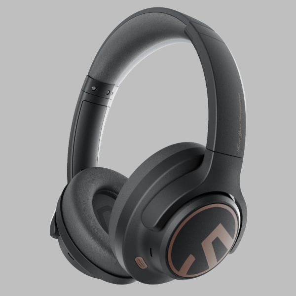 Hybrid Active Noise Cancelling Headphone